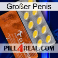 Großer Penis 42